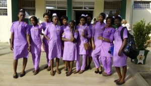 FCT Schools of Nursing